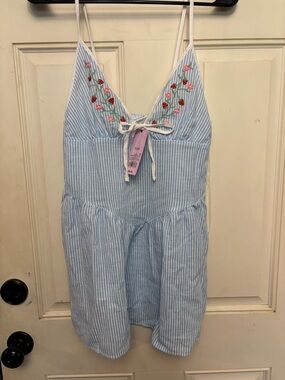 Light Blue Striped Tank/Dress with Strawberry Embroidery
